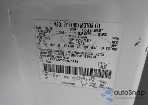 2006 Ford F-150 Stx/Xl/Xlt z USA, uszkodzony, nr VIN 1FTRF12256NB75124